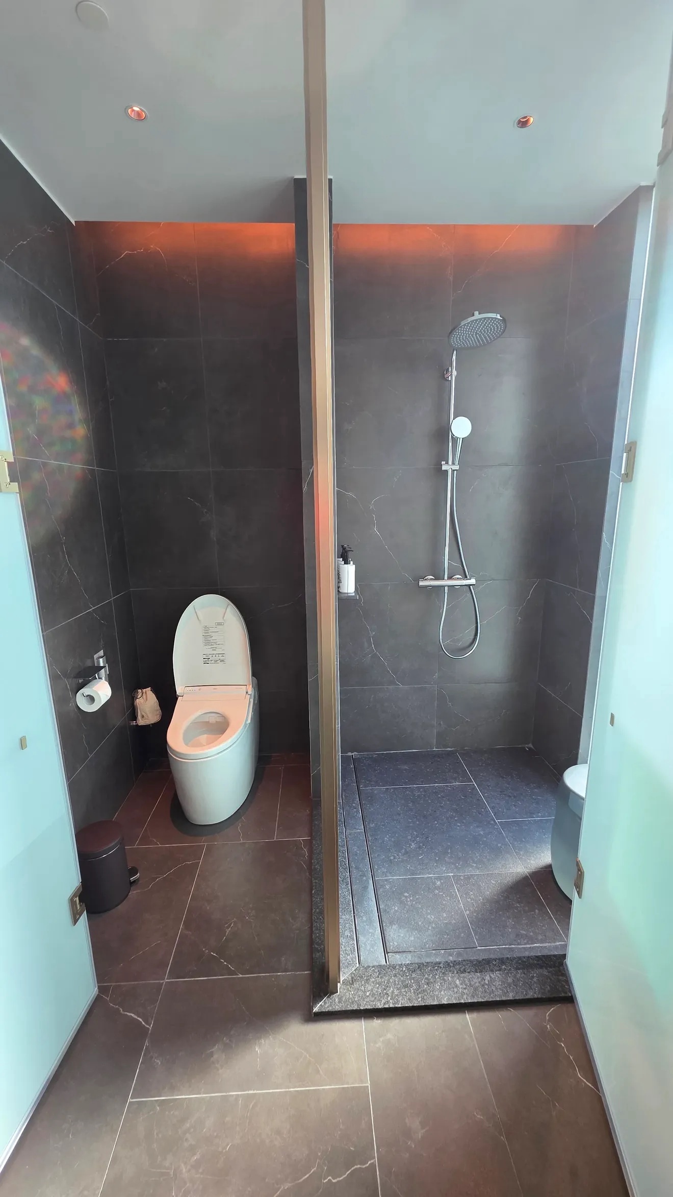 Toilet and shower