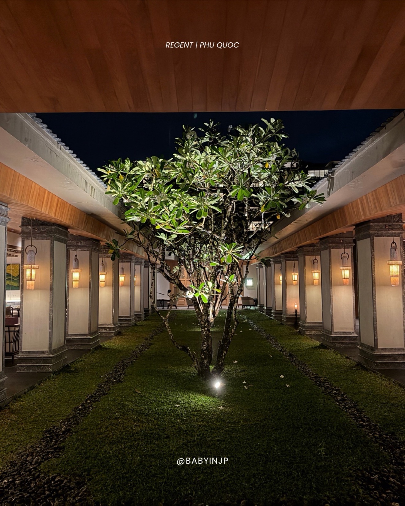 餐廳中庭夜景
