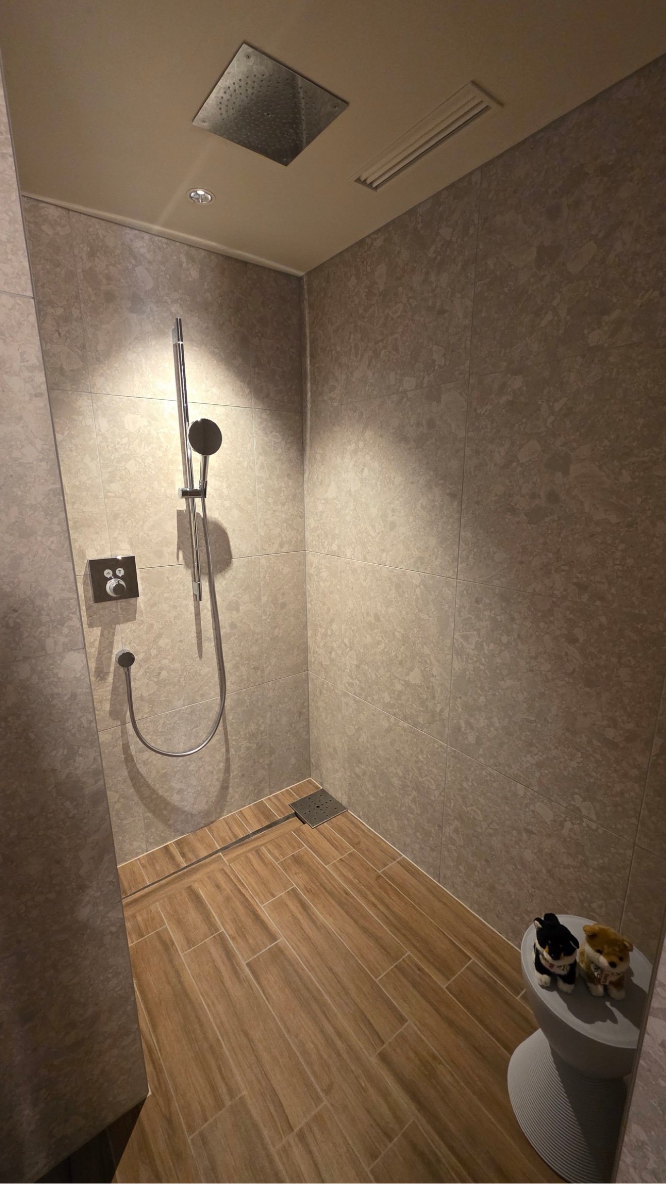 Shower room with rain shower