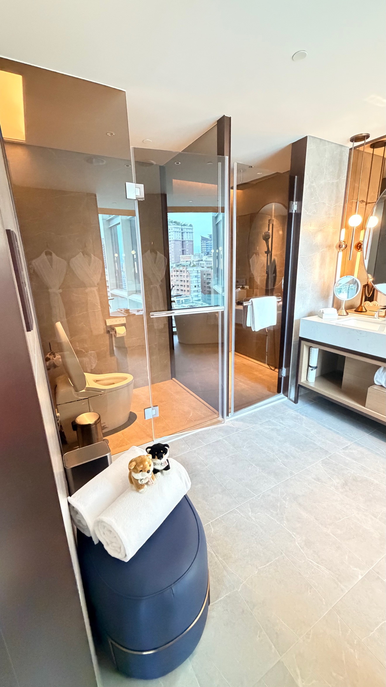 ガラスで仕切られたトイレとシャワーのあるバスルーム